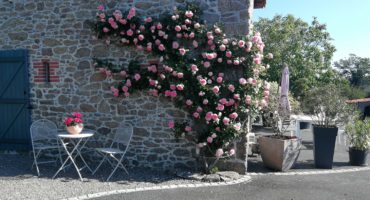 chambre-hotes-puy-du-fou (2)